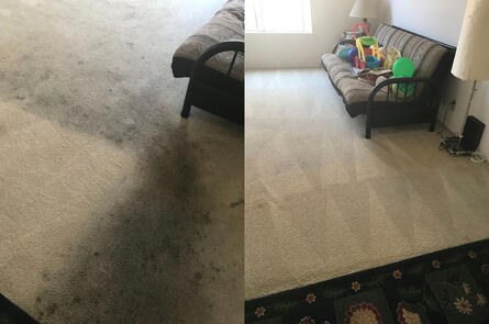 Carpet Brigade carpet before and after cleaning