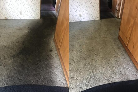 Carpet Brigade hallway carpet before and after
