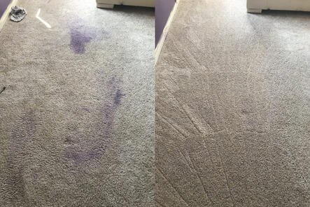Carpet Brigade stained carpet before and after